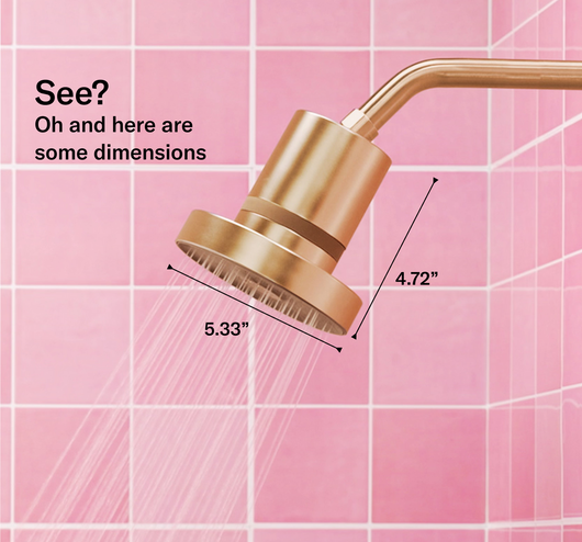 NO1 FIltered Showerhead